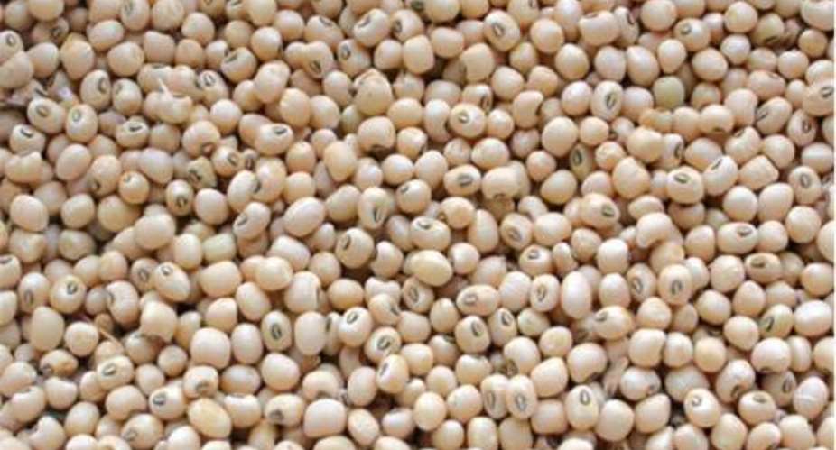 Stakeholders discuss ways to up cowpea production