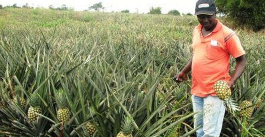 Natural resources can fuel Africas economic transformation, says report