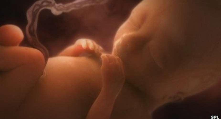 Genome of 18-week-old foetus deciphered