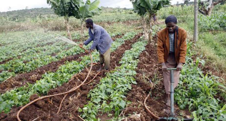 Smuggling Of Agricultural Inputs Costing Government---Farmers Reveal