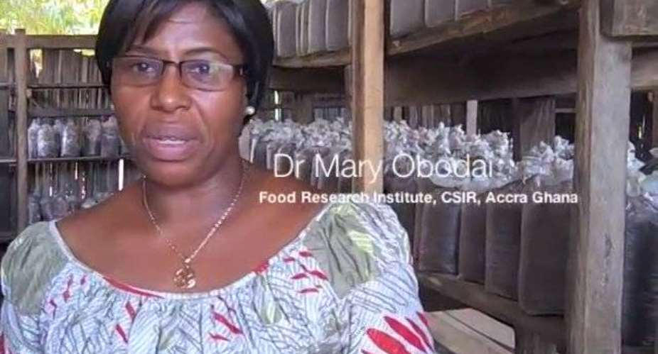 Dr. Mary Obodai