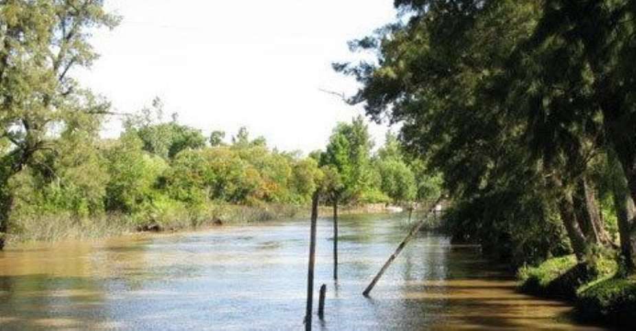 The Tigre Delta is made up of thousands of remote islands, streams and canals. (Tim Fitzgerald)