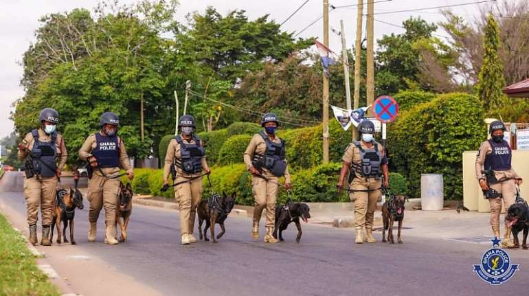 10192021123612-1i841p5bbv-police-dogs3-1024x574