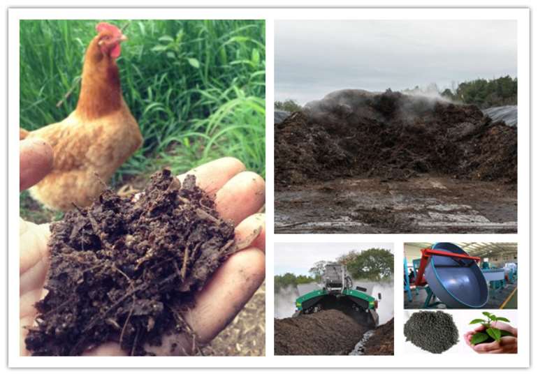 how-to-process-chicken-manure-into-organic-fertilizer