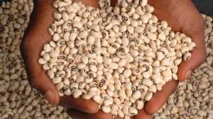 11112021101619-m5htk8v331-cowpea