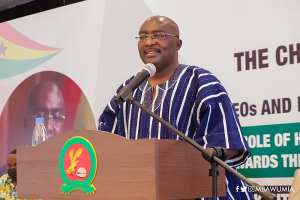 11222021102504-n6iul8x332-vice-president-dr-mahamudu-bawumia-2