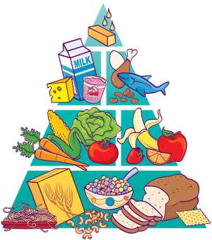 1229201923900-osjvn0y442-food-groups