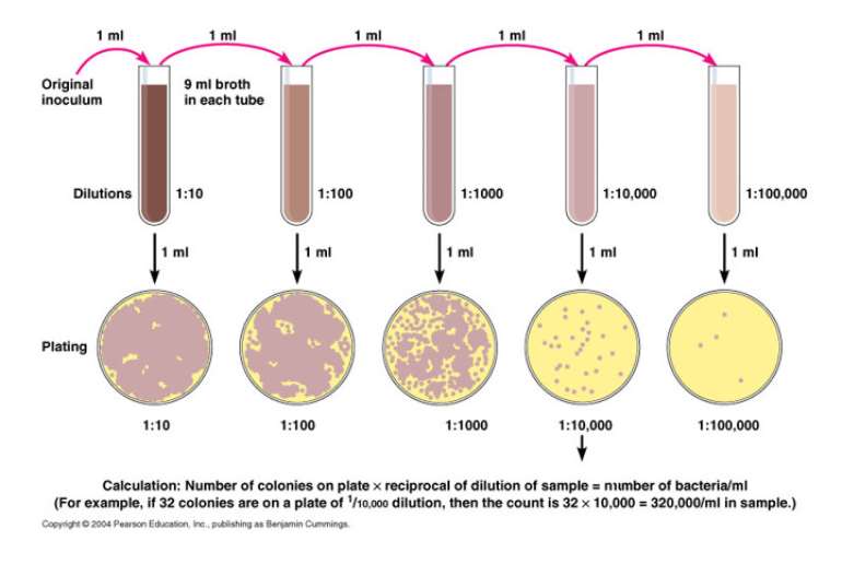 Microbial Loads In Herbal Medicines