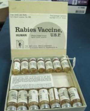A/R: Rabies kill Woman At Drobonso