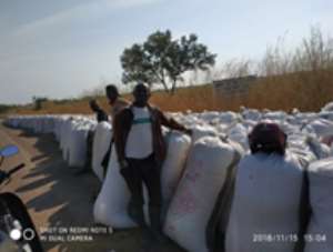 Upper East: Farmers Laud Planting For Food And Jobs
