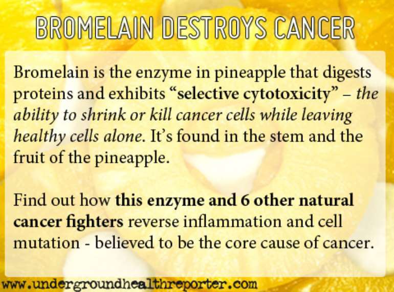 Pineapple Enzyme Bromelain Destroys Cancer Cells Rafamall