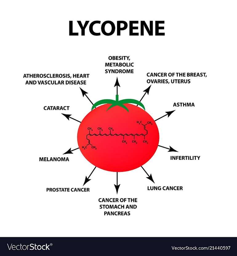 Lycopene and prostate cancer Objective Review