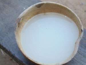  The palm wine you drink could be dangerous! 