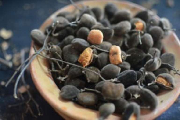Health Benefits Of Velvet Tamarind (Yooyi)