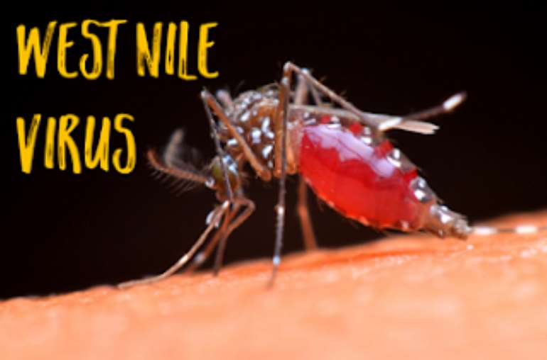 Human case of West Nile Virus confirmed in Northern Valley