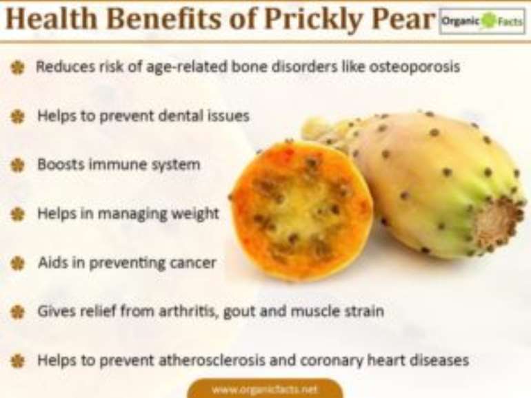 8 Surprising Prickly Pear Benefits
