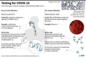 Graphic on the science behind the main methods of testing for the current corronavirus outbreak.. By John SAEKI (AFP)