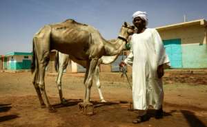 Thousands of Sudanese nomads live in the vast desert areas of North Darfur, North Kordofan and along the border with Chad, Egypt and Libya. By ASHRAF SHAZLY (AFP)