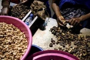 They're tasty, crunchy and very good for you