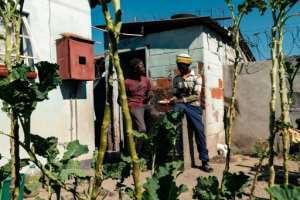 The crystal meth crisis has hit mostly highly populated and impoverished suburbs. By Jekesai NJIKIZANA (AFP)
