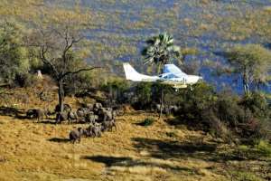 The academics said aerial surveyors can get exhausted, and are sometimes hindered by poor visibility. The picture shows surveying by the NGO Elephants Without Borders. By - (Elephants Without Borders/AFP/File)