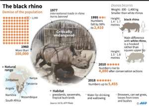 Factfile on the black rhino of southern Africa..  By Kun TIAN (AFP)