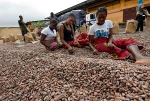 The global chocolate market is estimated at $100 billion, but only six percent of that trickles down to farmers. By Sia KAMBOU (AFP/File)