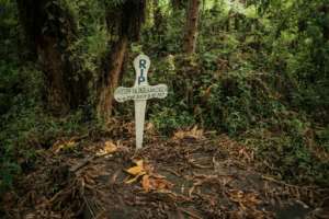 The grave of a ranger killed on duty. By ALEXIS HUGUET (AFP)