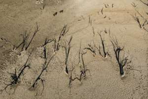 The dry lands: An aerial view of the dam floor. By Guillem Sartorio (AFP)