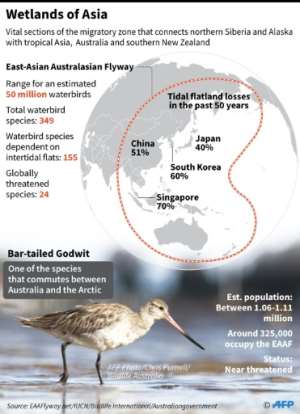 Graphic showing the bird migration zone that links Siberia with tropical Asia and Australia for waterbirds.  By Adrian LEUNG, Gal ROMA (AFP)