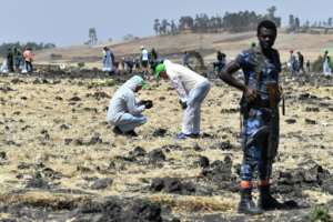 The Ethiopian Airlines plane plunged to the ground near Addis Ababa shortly after takeoff. By TONY KARUMBA (AFP/File)