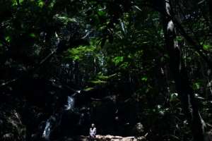 The forest contains rivers, waterfalls and caves used by anti-colonial rebels. By SIMON MAINA (AFP)