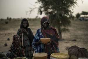 The Fulanis in Niger have seen their herds decimated by droughts and hunger in recent decades -- and this decline is gaining speed. By Marco LONGARI (AFP)