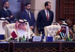 The Libya conference brought together ministers from across the region. By Mahmud TURKIA (AFP)