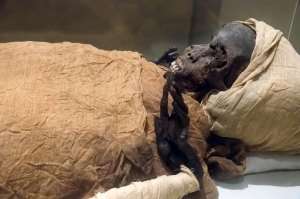 The mummified remains of Pharaoh Seqenenre Taa II,