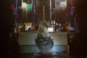 The picture is equally dire in the ocean, where 75 percent of fish stocks are over exploited. By LOIC VENANCE (AFP/File)