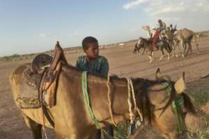 The revelry is only a brief interval in the lives of these herders.. By Michele Cattani (AFP)