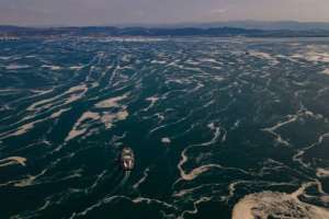 The runoff of nitrogen-rich fertilisers is blamed for creating harmful algae blooms, like the glutinous 'sea snot' off Turkey's coast this year . By Yasin Akgul (AFP/File)