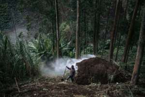 The WWF is among groups trying to minimise the impact of charcoal burning by introducing more efficient ovens. By ALEXIS HUGUET (AFP)