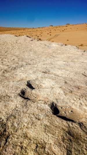 This handout photo shows elephant trackway. By Paul BREEZE (Paul BREEZE/AFP)