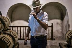 Time for a taste: Winemaker Anthony Hamilton Russell samples a young Chardonnay maturing in his barrels. By MARCO LONGARI (AFP)