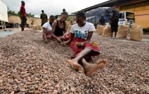 Time to trade: Women in Abidjan sort cocoa beans for export. By Sia KAMBOU (AFP)