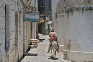 Tourism is a major earner for the historic town of Lamu but a fragile one. By Tony KARUMBA (AFP)