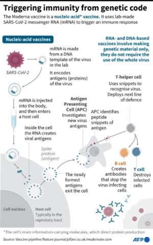Triggering immunity from genetic code. By John SAEKI (AFP/File)