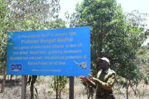 Wangari Maathai, the late founder of Kenya's Green Belt Movement, and the first African woman to win the Nobel Peace Prize, rallied church leaders, lawyers and students to Karura's defence. By SIMON MAINA (AFP)