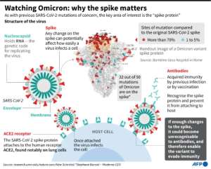Watching Omicron: why the spike matters. By John SAEKI (AFP)