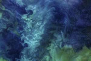 When they 'bloom' in vast numbers, plankton are visible from space, turning the water emerald or creating swirls of milky blue. By HO (NASA/AFP/File)