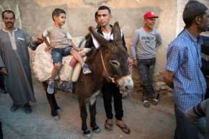 While donkeys carry heavy loads through rural areas, many consider them scornfully. The contest aims to restore the image of animals. 