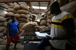 Workers weigh cocoa bags at the warehouse of the local farmers' collective in M'brimbo. By Issouf SANOGO (AFP)