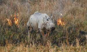 WWF now calculates we are overusing the planet's capacity by more than half. By Biju BORO (AFP/File)